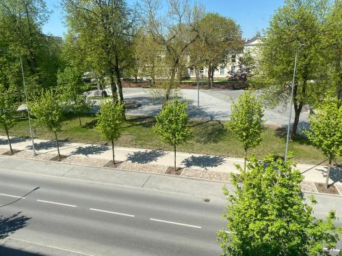 a street with trees on the side of a road at Šiauliai CENTER Višinskio NEW self check In in Šiauliai