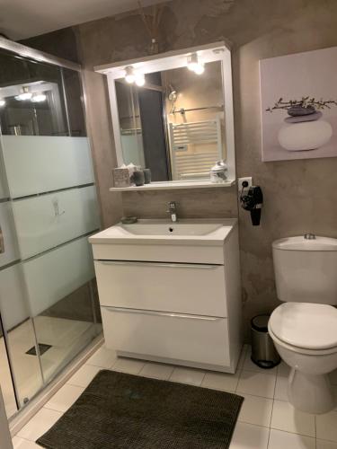 La salle de bains est pourvue de toilettes, d'un lavabo et d'un miroir. dans l'établissement L ANNEXE, à Malaucène