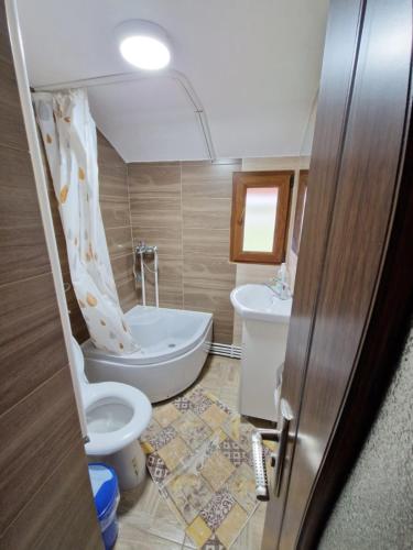 a small bathroom with a toilet and a sink at Cabana Poiana Dealul Frumos in Gârda de Sus