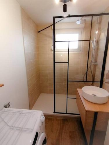 une salle de bain avec une douche avec des toilettes et un lavabo dans l'établissement L'Élégant avec garage, proche Axone, Stellantis, à Audincourt
