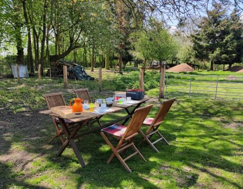a picnic table with three chairs and a pumpkin on it at Gemütliche Bauernkate für 4 mit Kachelofen in Lelkendorf