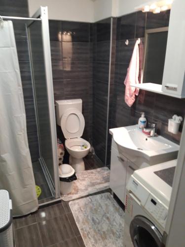 a bathroom with a toilet and a sink and a washing machine at Apartman Velez in Nevesinje