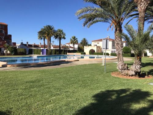 une cour avec des palmiers et une piscine dans l'établissement Studio tipo Loft con vista al Montgo, à Dénia