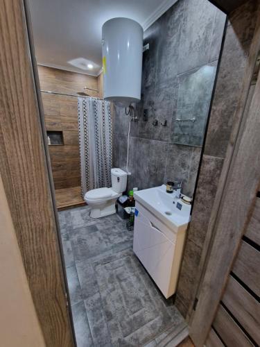 Tegirmenty的住宿－Коттедж лагуна сити，一间带卫生间和水槽的小浴室