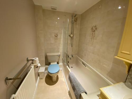 La salle de bains est pourvue de toilettes et d'une douche. dans l'établissement Cottage in Bretforton, north of the Cotswolds, à Bretforton