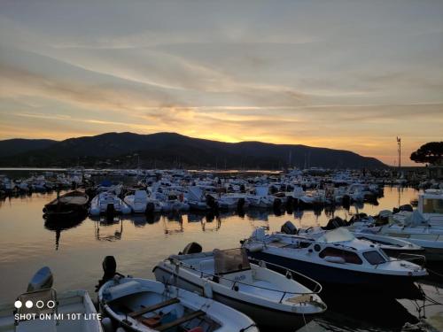 a group of boats docked in a marina at sunset at Hotel La Barcarola in Marina di Campo