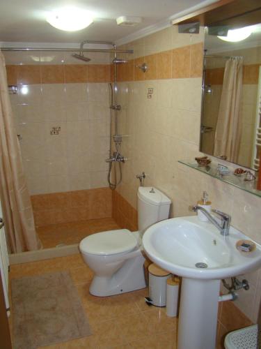 a bathroom with a toilet and a sink and a shower at Pendamodi Vintage House in Pentamodi