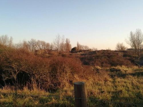a fence in a field with trees and grass at Lovely n° 9 op ieder moment een prachtig zeezicht & zwembad in Middelkerke