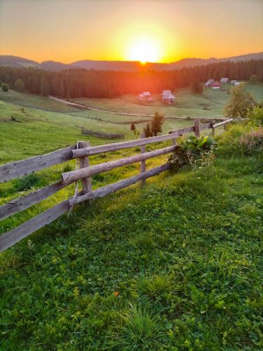a fence in a field with the sunset in the background at Cabana Poiana Dealul Frumos in Gîrda de Sus