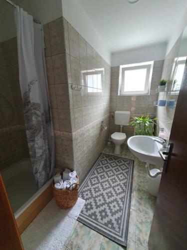 a bathroom with a shower and a sink and a toilet at Casa Anette in Sovata
