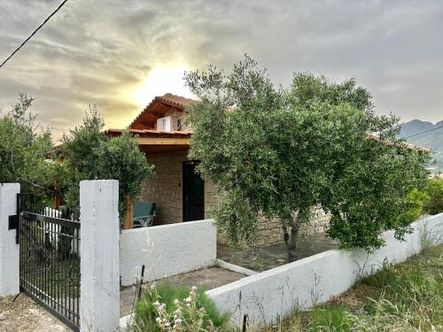 a house with a fence and trees in front of it at Elia Home in Lefkogeia