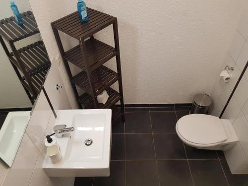 a bathroom with a white sink and a toilet at B-Haus Ueckermünde in Ueckermünde