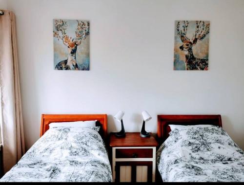 sypialnia z dwoma łóżkami i dwoma obrazami na ścianie w obiekcie Close to the famous Bondi Beach in Australia w mieście Sydney