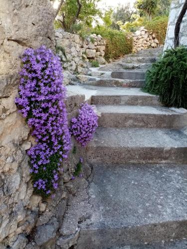 a set of stairs with purple flowers on them at Apartment Hortenzija in Baška Voda