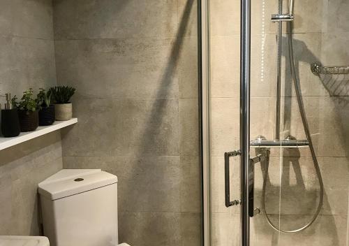 a bathroom with a shower and a white toilet at Seata Barn in Askrigg