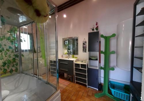 uma casa de banho com um chuveiro e um lavatório. em Appartements Hameau du Port em Esparron-de-Verdon