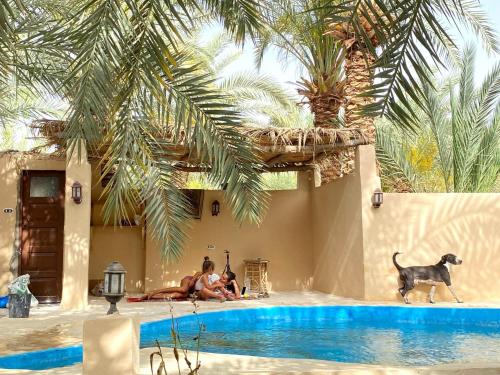 two people and a dog sitting next to a swimming pool at Forest Camp Siwa - كامب الغابة in Siwa
