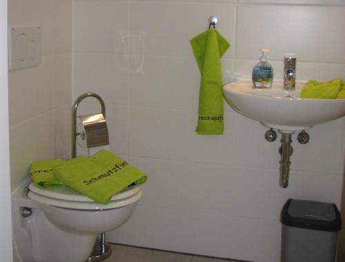 アルプシュタットにあるZellerhornのバスルーム(白いトイレ、シンク付)