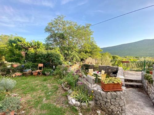 Foto Flower House in Kozica 6