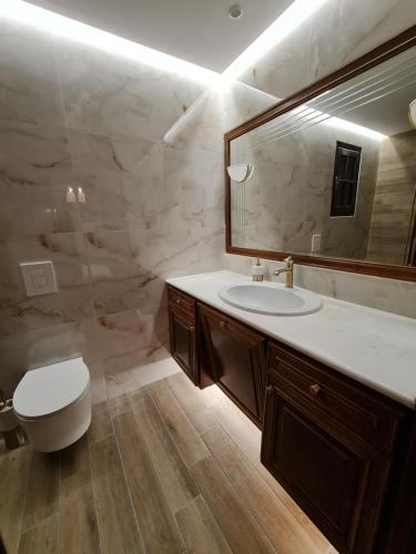 a bathroom with a sink and a toilet and a mirror at Villa ChrysPa Attica in Dhílesi
