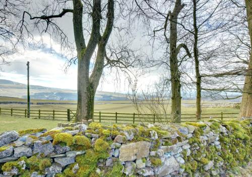 una pared de piedra cubierta de musgo con árboles y una valla en Scar End Cottage en Ingleton 