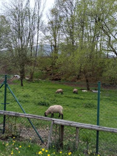 Φυσικό τοπίο κοντά σε αυτή η παραθεριστική κατοικία