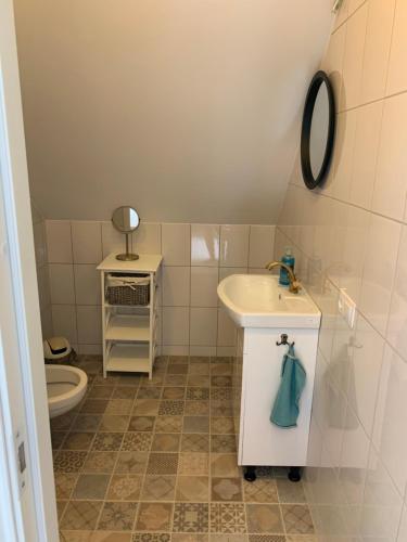 克雷廷加的住宿－DEJA VU，一间带水槽和卫生间的浴室
