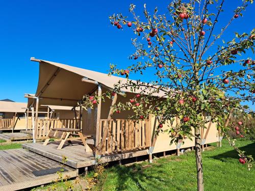 a cabin with a wooden deck and a tree at De Hazelaarshof Luxe glampingtent bij natuurgebied De Millingerwaard in Kekerdom