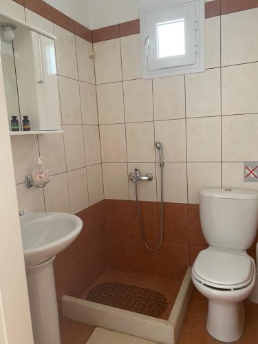 La salle de bains est pourvue d'une douche, de toilettes et d'un lavabo. dans l'établissement Dream Catcher3, à Agia Theodoti