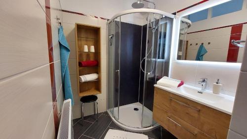 uma casa de banho com um chuveiro e um lavatório. em URLAUB LUNZ - Ferienwohnungen Fam. Fürst em Lunz am See