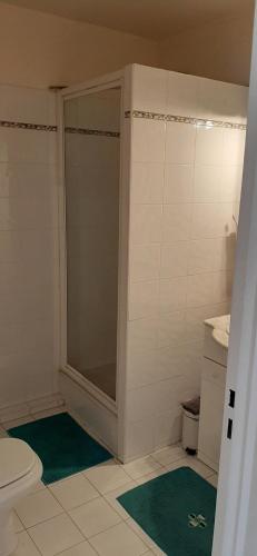 La salle de bains est pourvue d'une douche, de toilettes et de tapis verts. dans l'établissement Cosy, à Saint-Jean-de-Luz