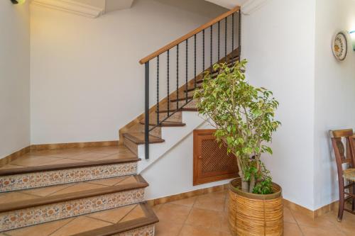 a staircase in a house with a potted plant at Can Pilos in Inca