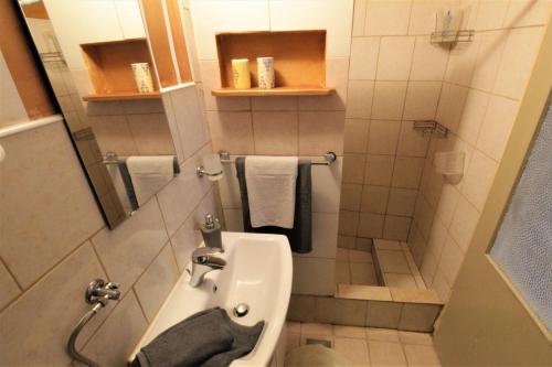 un piccolo bagno con lavandino e doccia di Apartment Estera a Savudrija