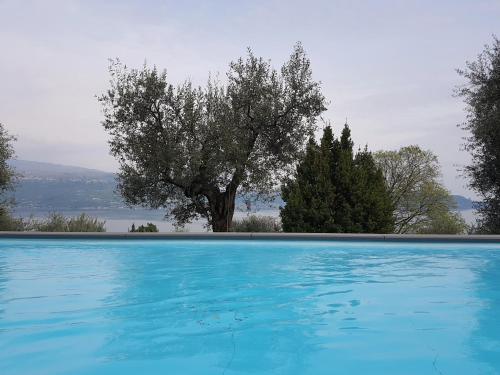 Bazén v ubytování Ville in uliveto vista lago - VILLA LECCINO nebo v jeho okolí