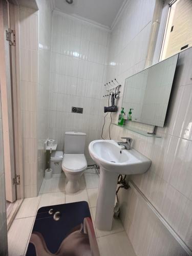 a bathroom with a sink and a toilet and a mirror at Raduga West Cottage 38-4 in Koshkolʼ