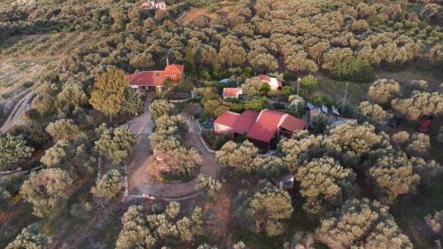 an aerial view of a house in the middle of a forest at Rustic Retreat in Tílisos