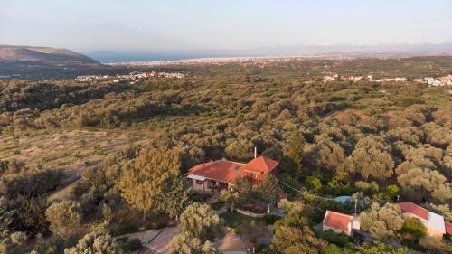 an aerial view of a house in a forest at Rustic Retreat in Tílisos