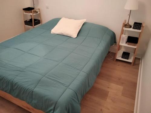 - un lit vert avec un oreiller dans l'établissement La Petite Amélie, à Aix-les-Bains