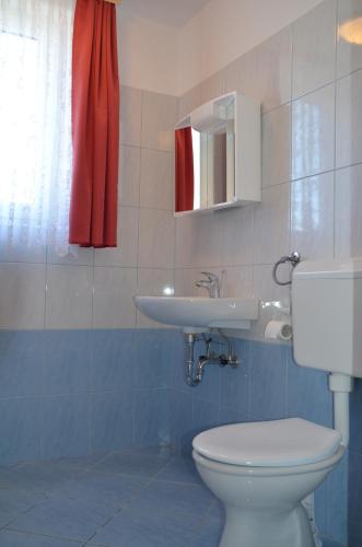 a bathroom with a white toilet and a sink at Apartmaji Srnca in Cerkno