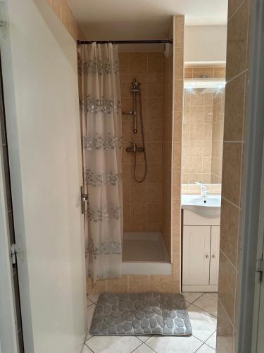 une salle de bain avec douche et lavabo dans l'établissement Résidence Antinéa - Grand appartement à 500 m des plages du Cap d'Agde, au Cap d'Agde