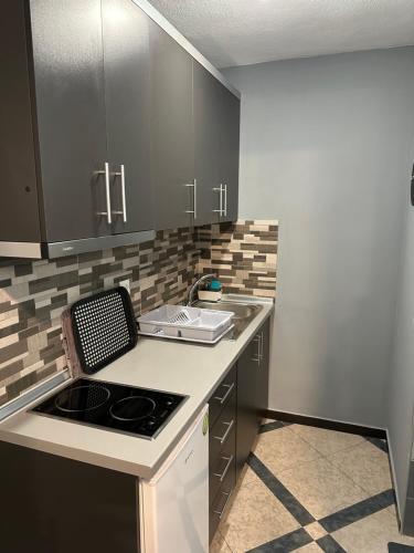 Kuchyň nebo kuchyňský kout v ubytování Grey Pearls Apartments