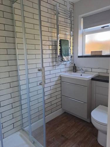 a bathroom with a shower and a sink and a toilet at Cosy cottage near Alton Towers in Rocester