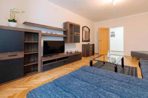 Η κουζίνα ή μικρή κουζίνα στο Apartments TGM 11