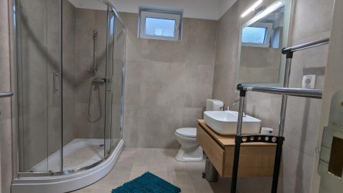 a bathroom with a shower and a toilet and a sink at Apartment in an urban villa Kraljevica in Kraljevica