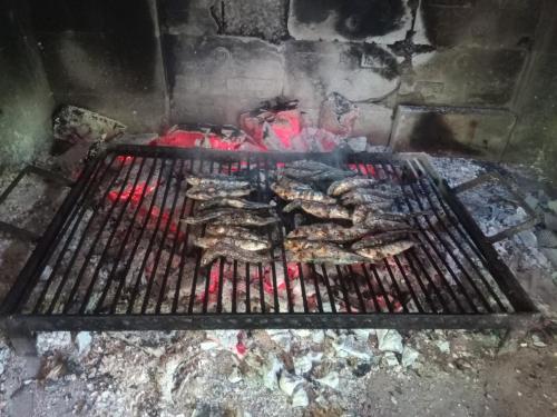 Apartman Velika Ljubav