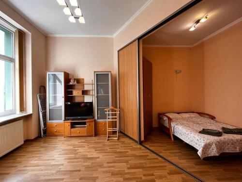 a bedroom with a bed and a tv and a mirror at Apartaments near Ploshcha Rynok in Lviv