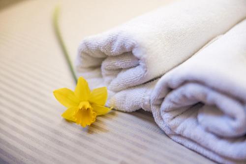 Imagen de la galería de Palanga Park Hotel, en Palanga