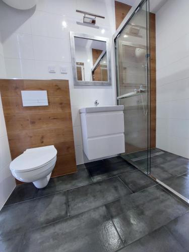 a bathroom with a toilet and a glass shower at Domki Letniskowe Family Dreams in Sarbinowo