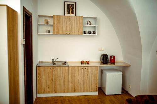 cocina con armarios de madera y lavabo en una habitación en Studio Central, en Sibiu