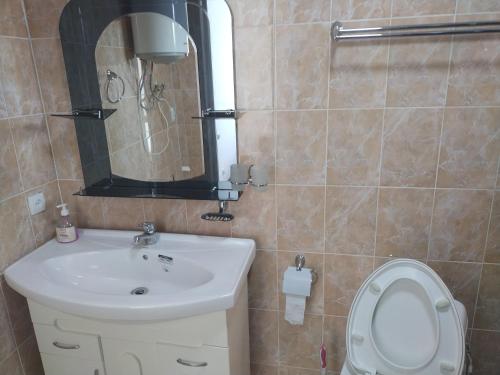 a bathroom with a sink and a toilet and a mirror at Пансионат Сабрина in Bosteri